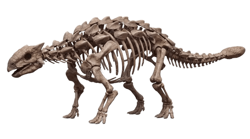 Anquilossauro