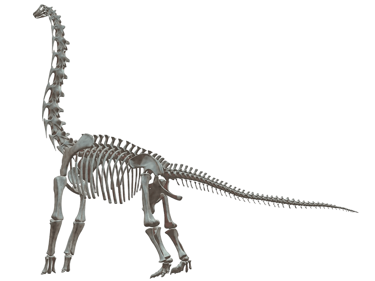 Braquiossauro