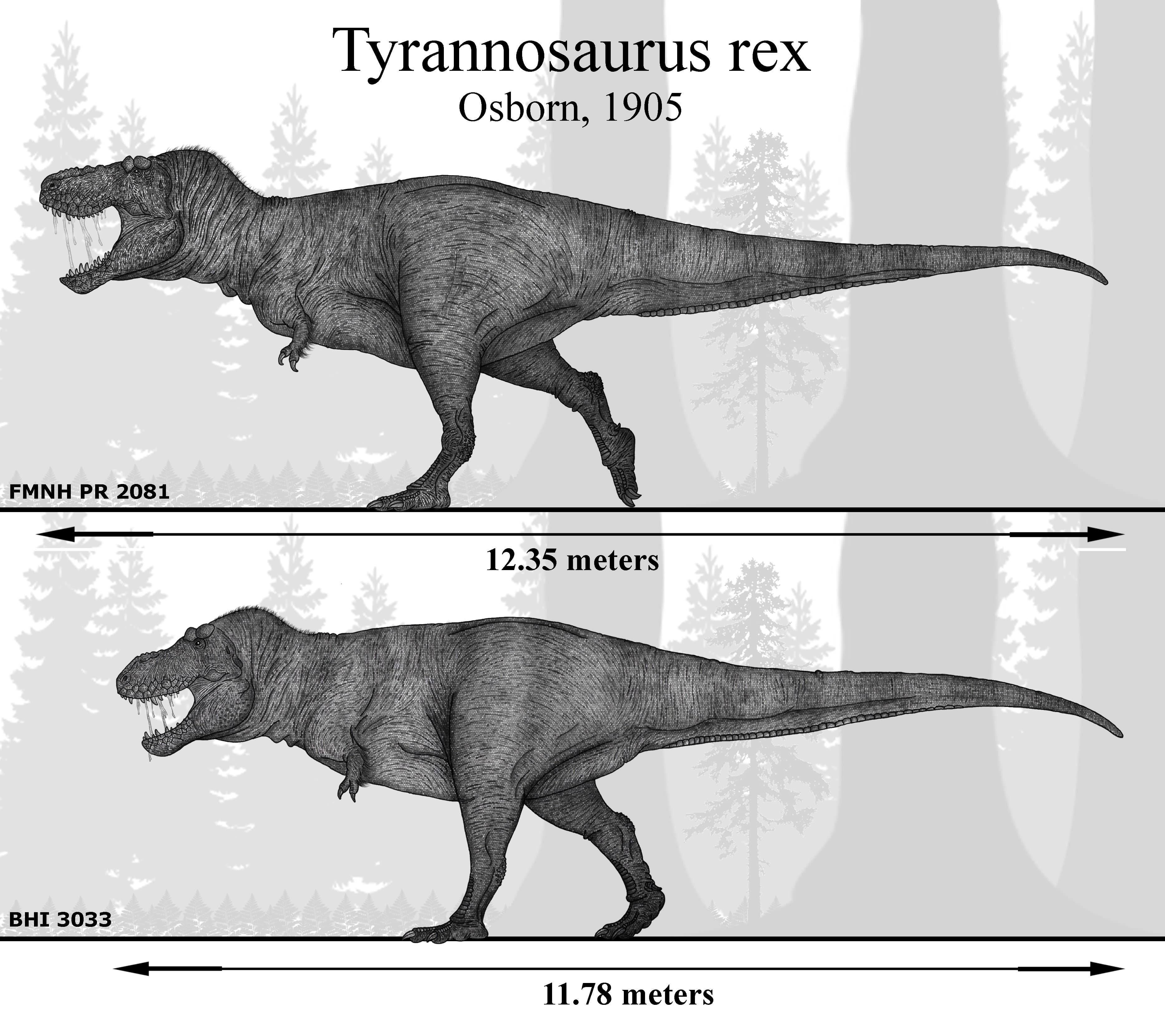 Tiranossauro Rex