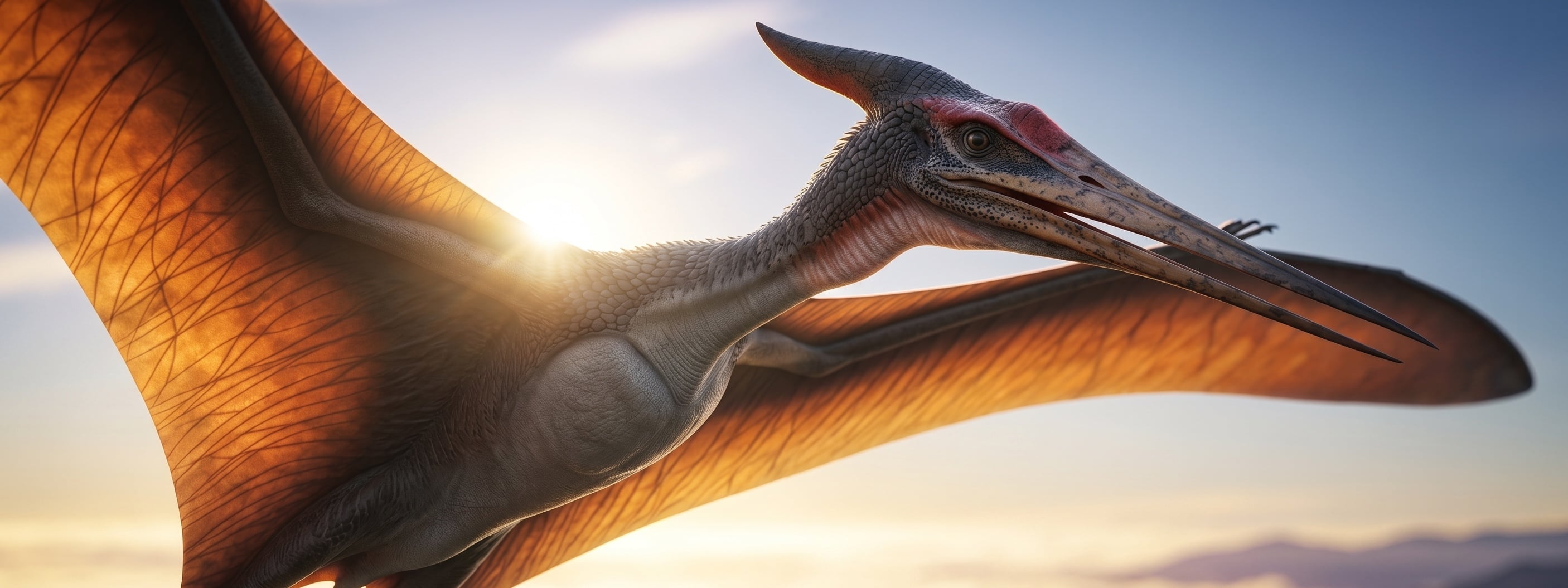 Banner colegio-dino-page-pteranodon-longiceps